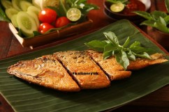 shutterstock_1062609734